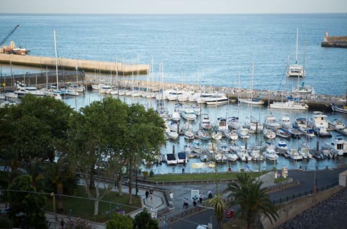Apartment W Stunning View - Marina - Free Parking & Ac Funchal  Exteriör bild